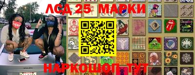 прущие грибы Краснодар