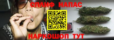 прущие грибы Краснодар