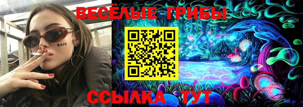 Галлюциногенные грибы Psilocybe  Вход с VPN  Дмитров 